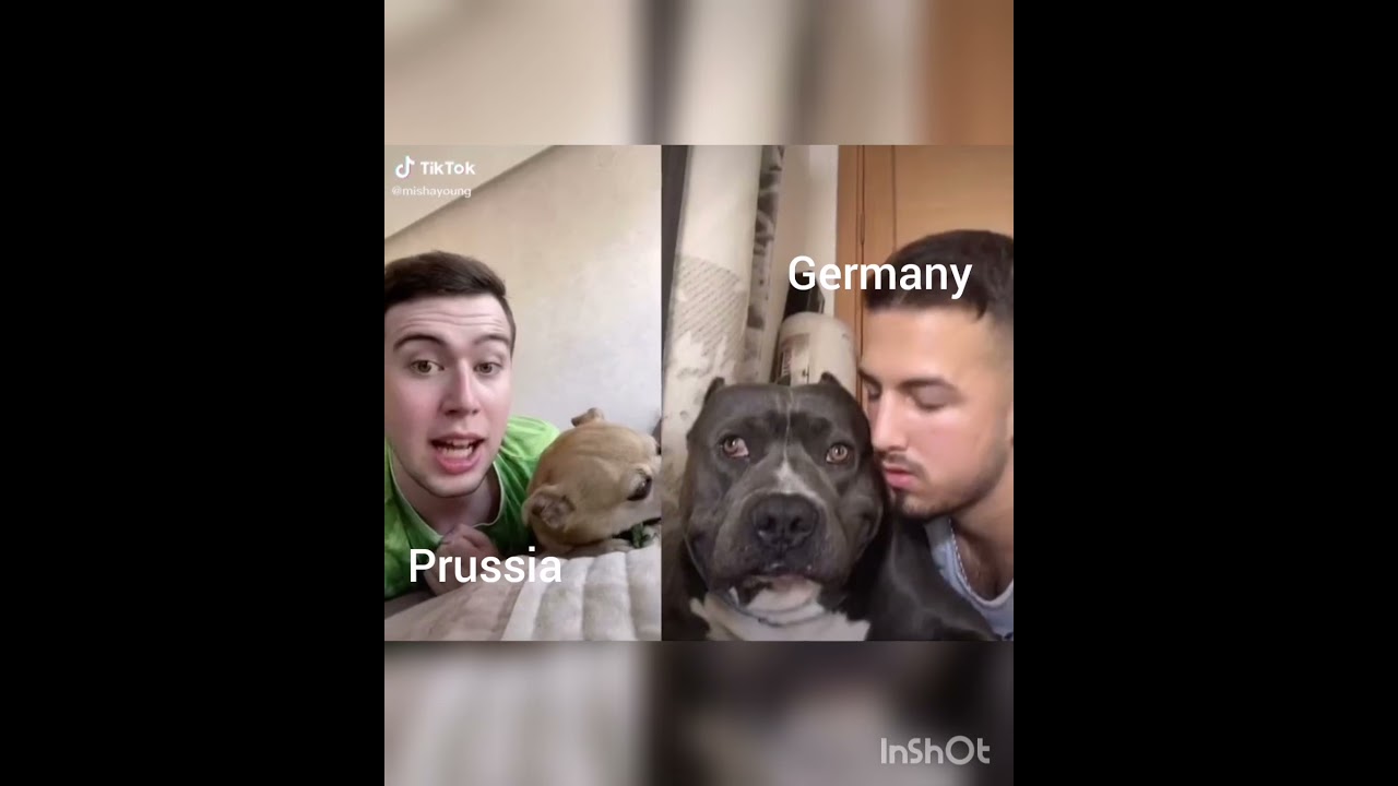 Hetalia memes from tik tok part idk