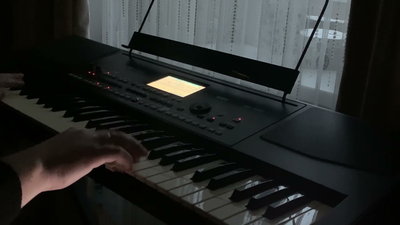 SHALAXO KORG PA300