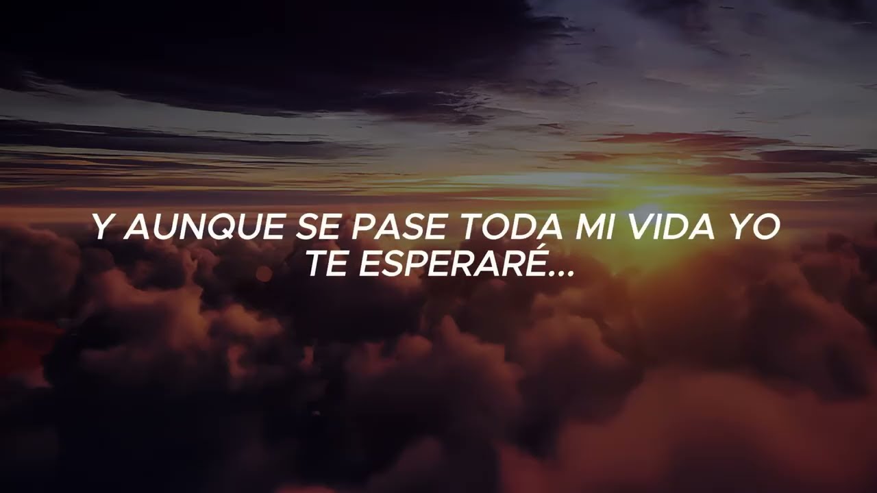 ♫ Yo Te Esperaré ♫ 