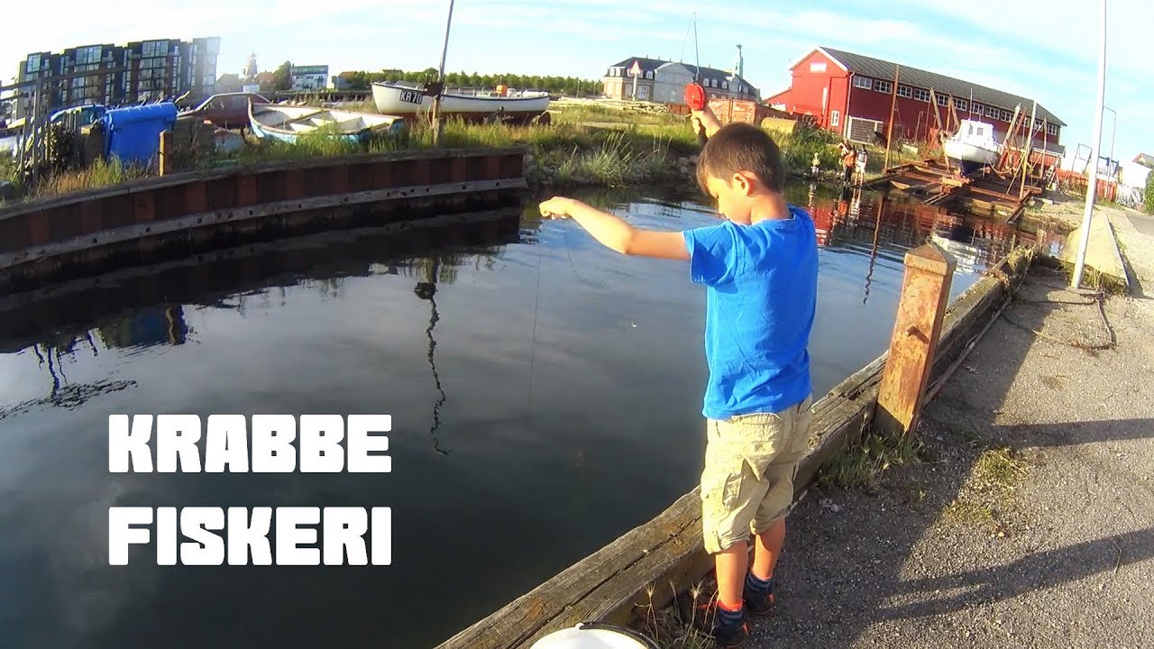 Krabbefiskeri i Korsør havn