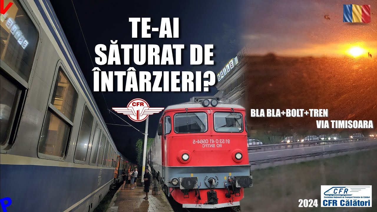 Mangalianul Rapid de Timisoara, alternativa la Arad