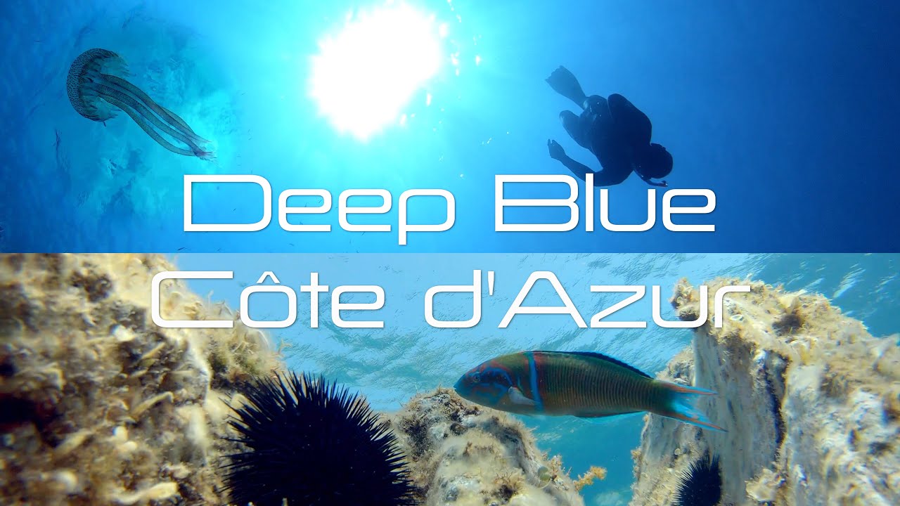 DEEP BLUE - C&ocirc;te d'Azur - Port Cros National Park