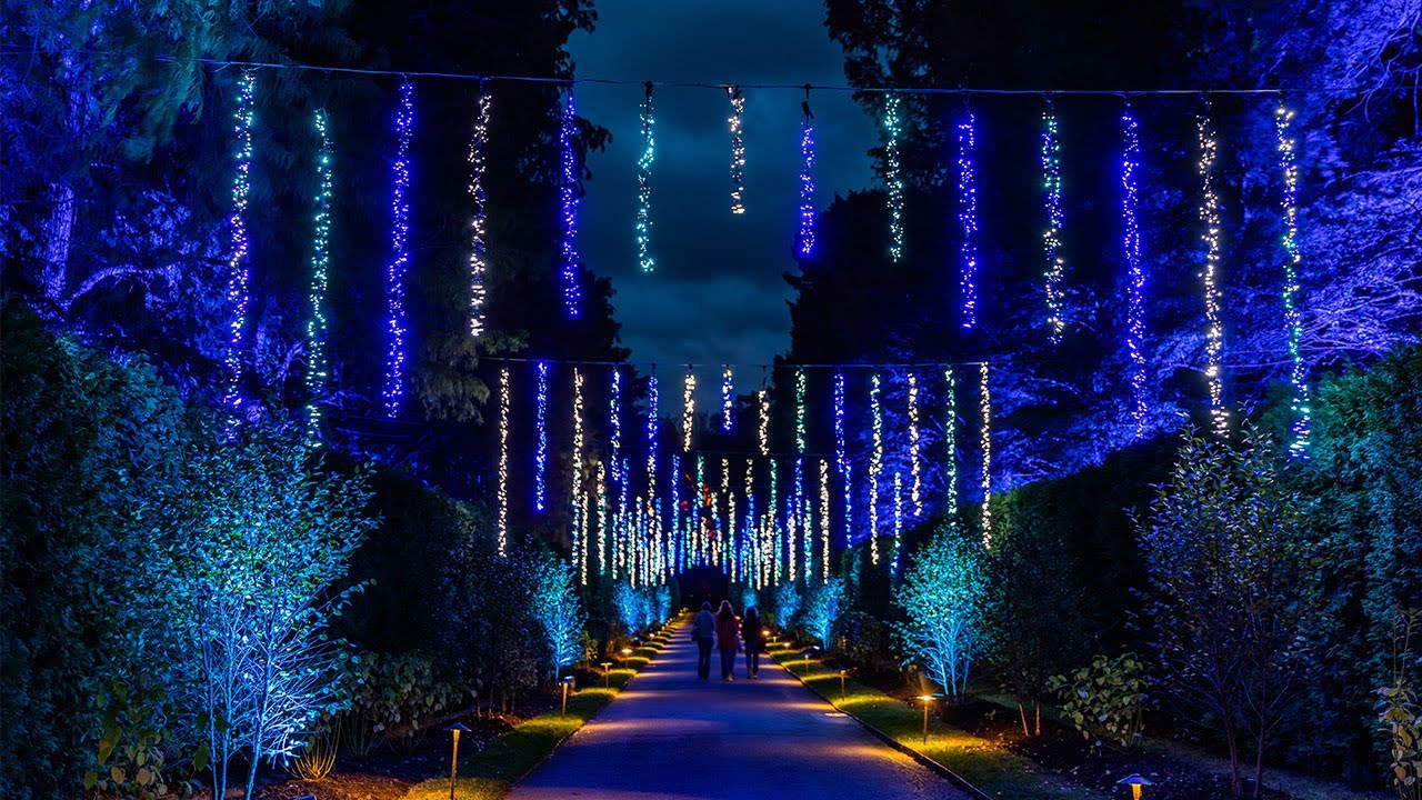 Fly Through Our 2021 A Longwood Christmas Outdoor Light Display