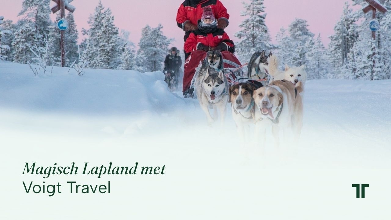 Lapland met de Laplandspecialist | Voigt Travel