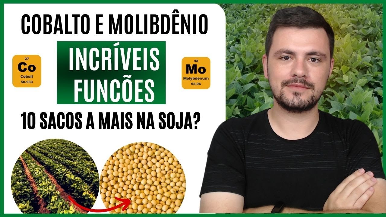 COBALTO E MOLIBDÊNIO como eles elevam a produtividade da Soja