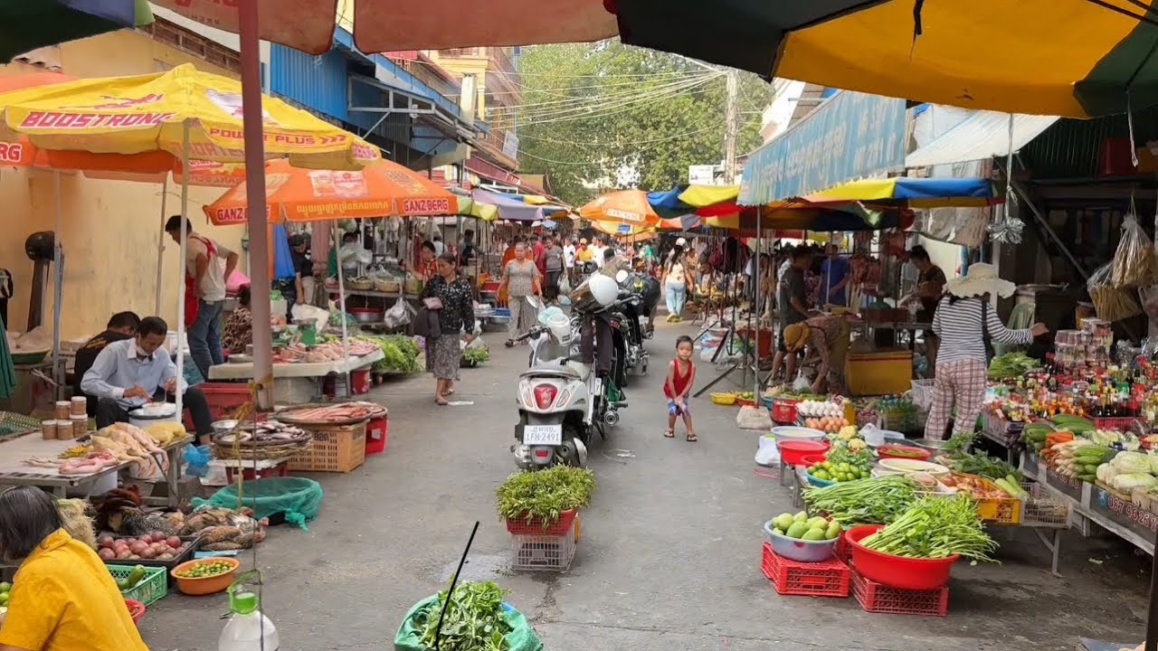 Countryside Cambodian Markets Review in May 2025