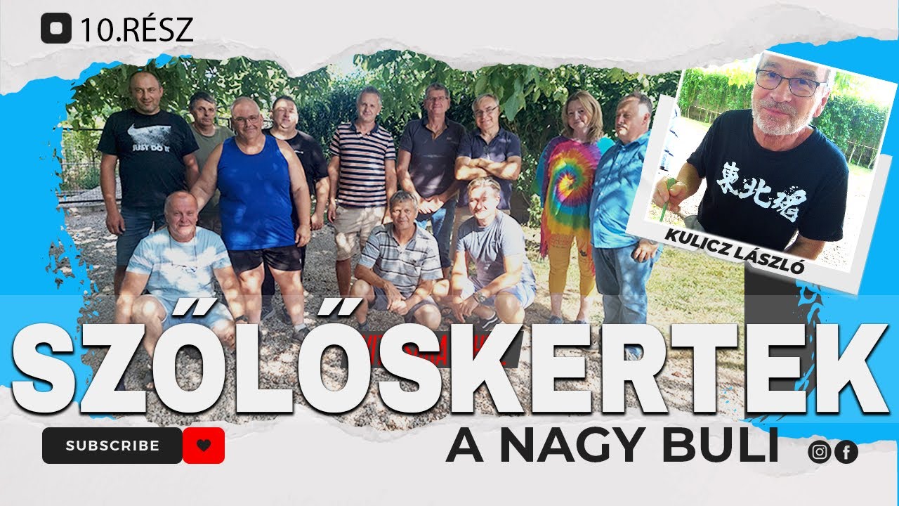 🍇 SZŐLŐSKERTEK - 10.rész - A NAGY BULI - KULICZ LÁSZLÓ, GERŐ ÁRPÁD, KAJTÁR ERNŐ, PAPP GYÖRGY ...
