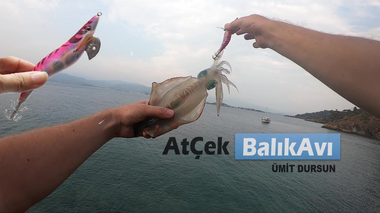 At&ccedil;ek Balık Avı. Bir Zokaya iki Kalamar. Bu Hafta Kalamardaydım.