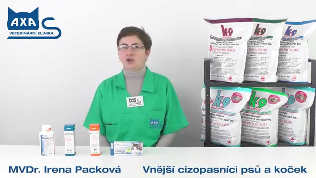 Péče o psy a kočky - blechy, klíšťata, svrab, vši, všenky, dravčíci a další cizopasníci
