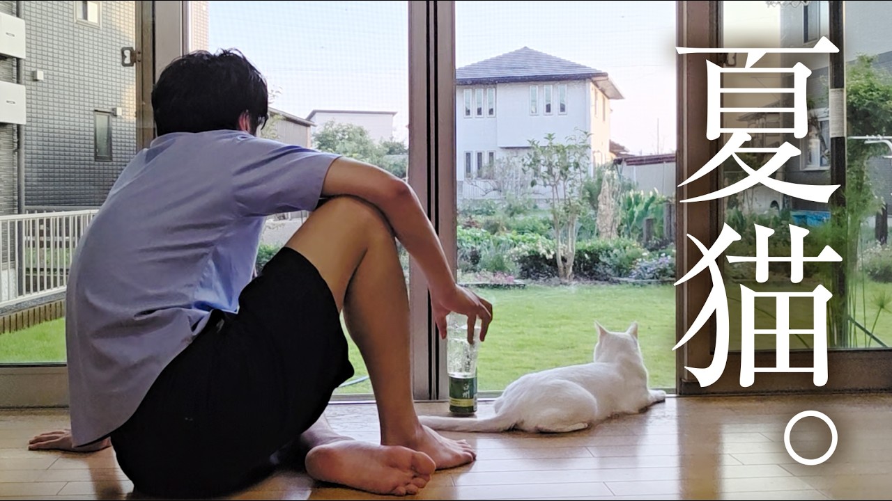 猫を保護したら、美しい夏がやって来た。