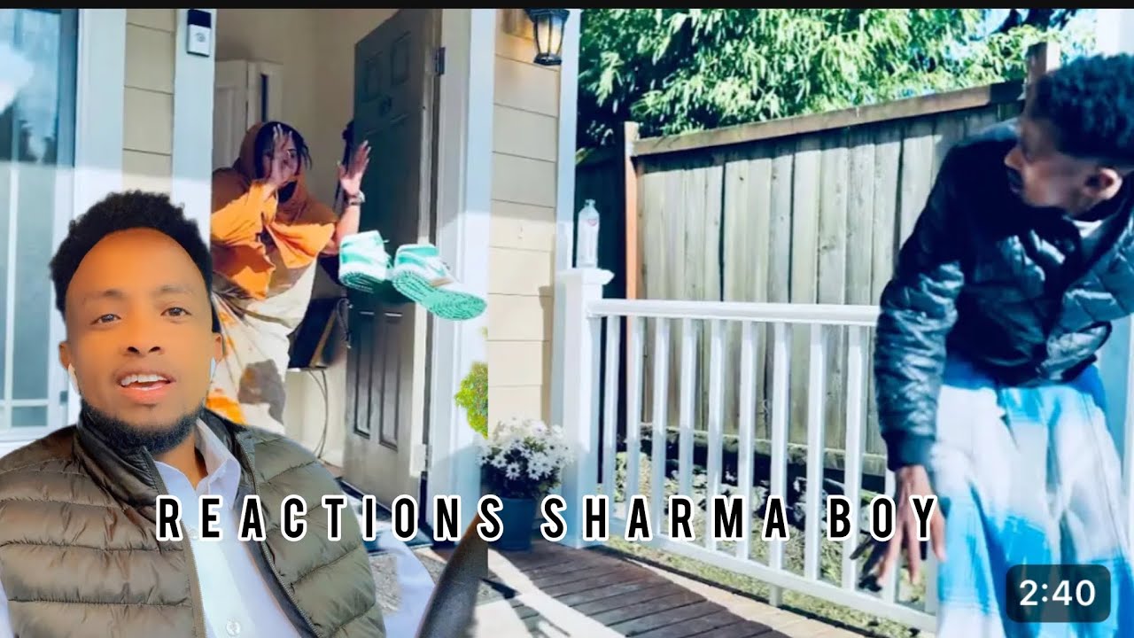 SHARMA BOY REACTION  WAALI AH