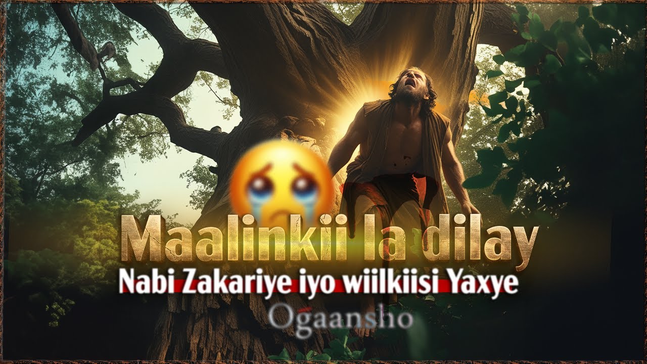 Maalinkii ladilay nabi zakariye iyo wiilkiisi Yaxya kadib 90 sano uu sugaayay dhalashadiisa .