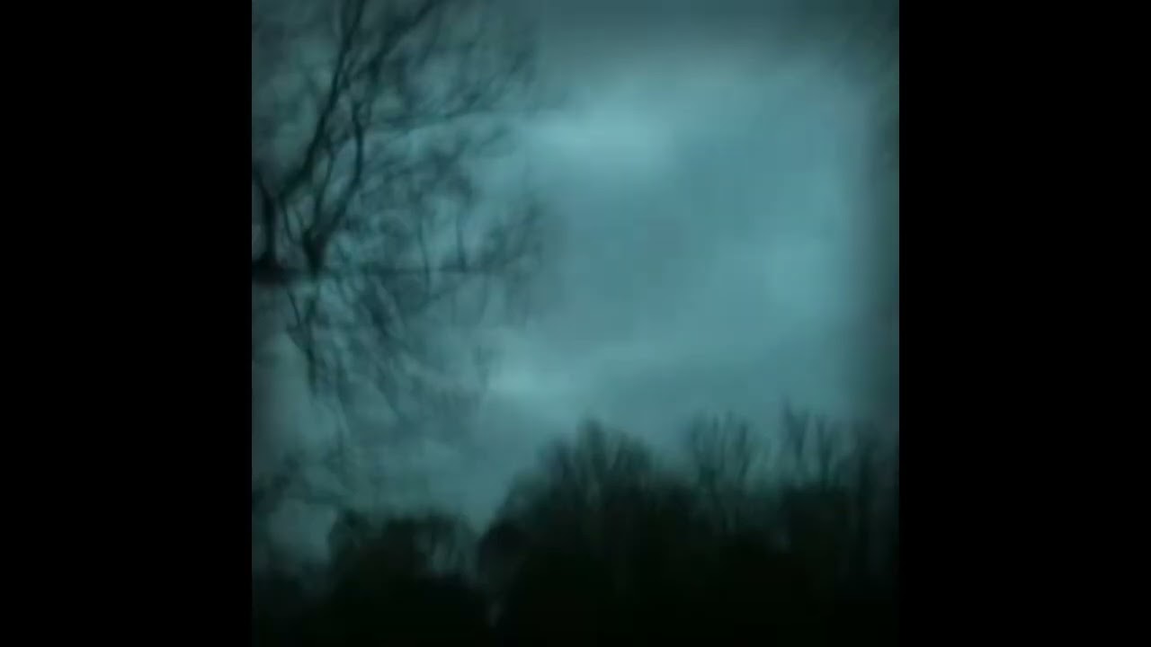 4tyfame - rainfallgardens