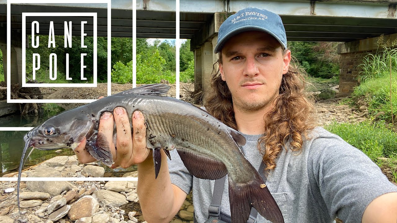 Catching Catfish on a Cane Pole: Nightcrawlers and Circle Hooks