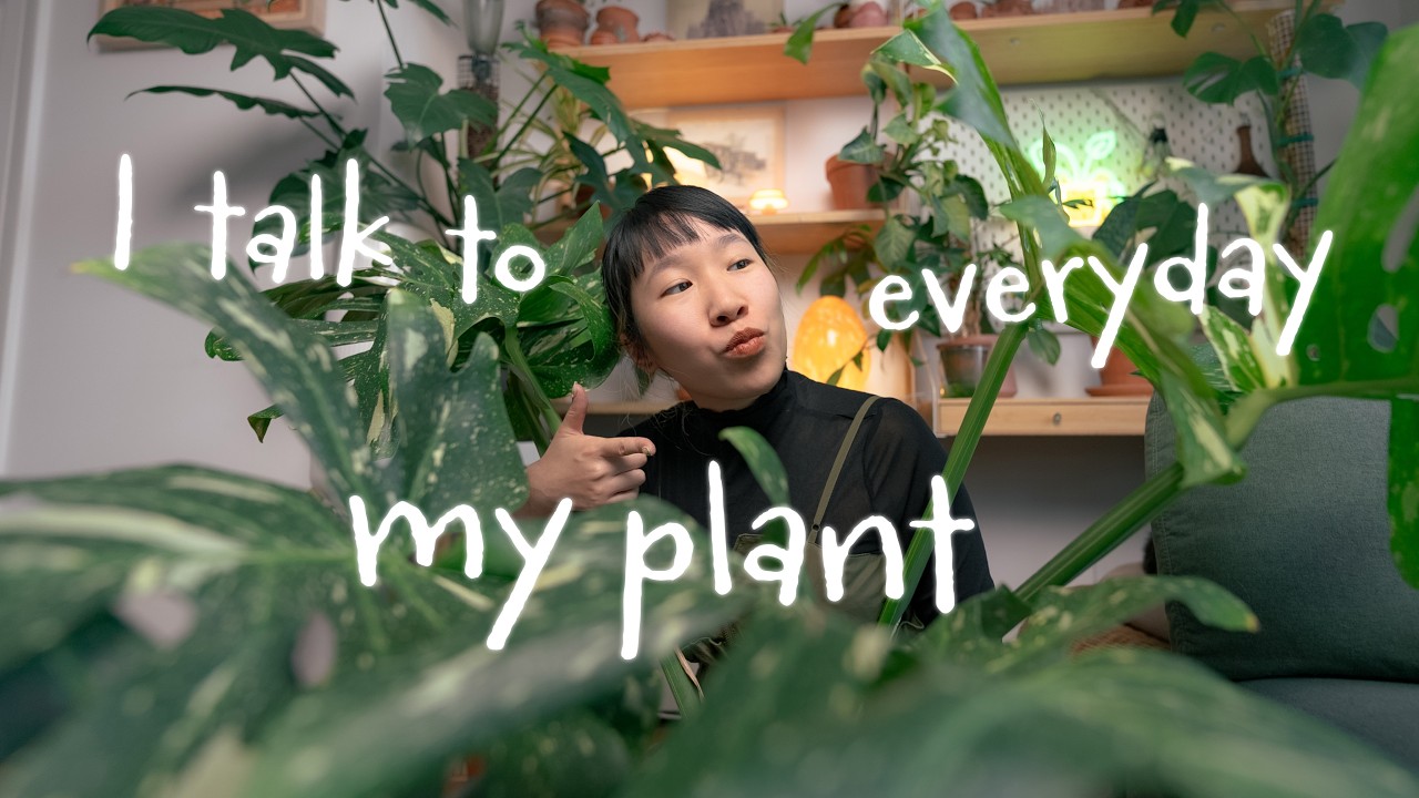 5 Lessons Houseplants Help Me Manage Stress (I Needed This 😩🌱)