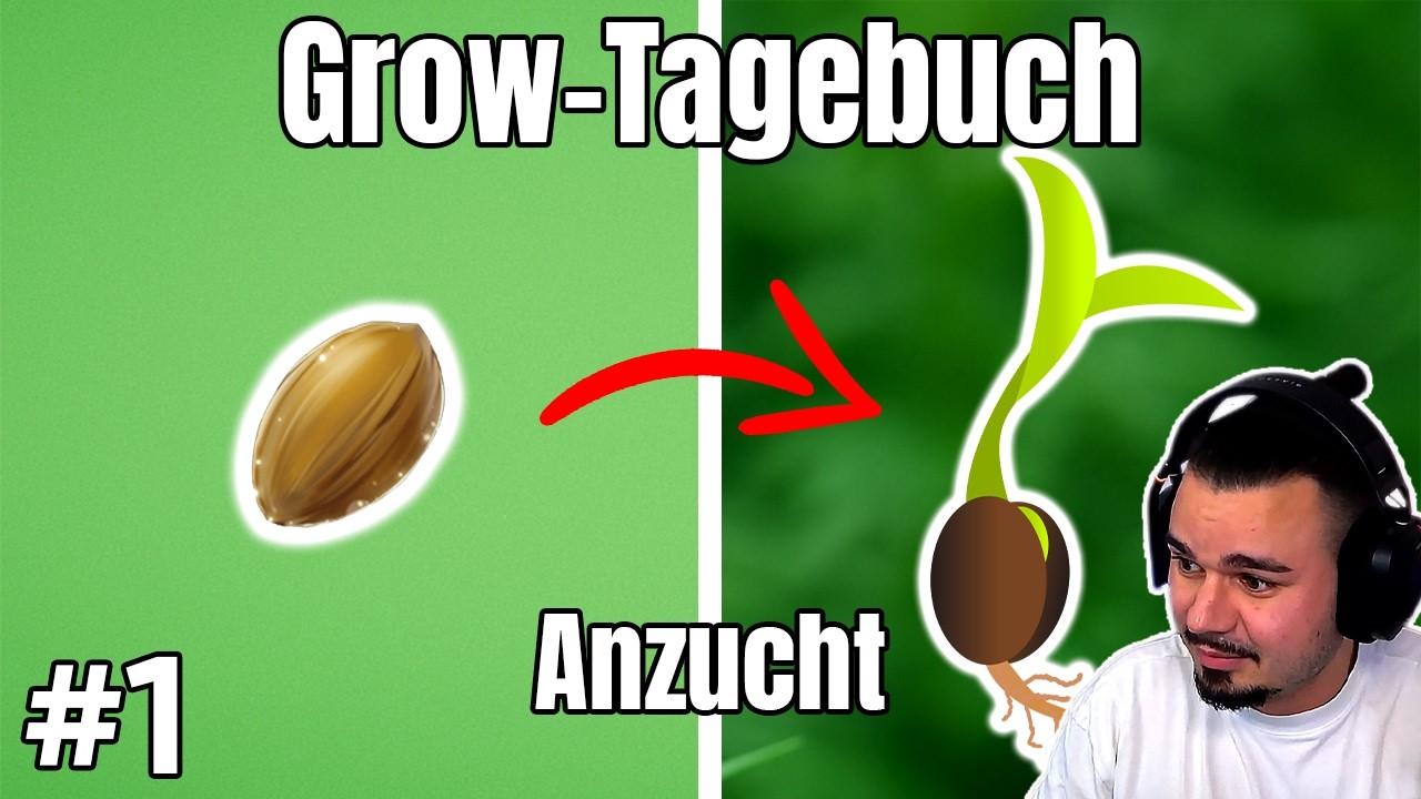 Mein Indoor Grow STARTET &ndash; Samen keimen lassen & erste Schritte | Grow Tagebuch #1
