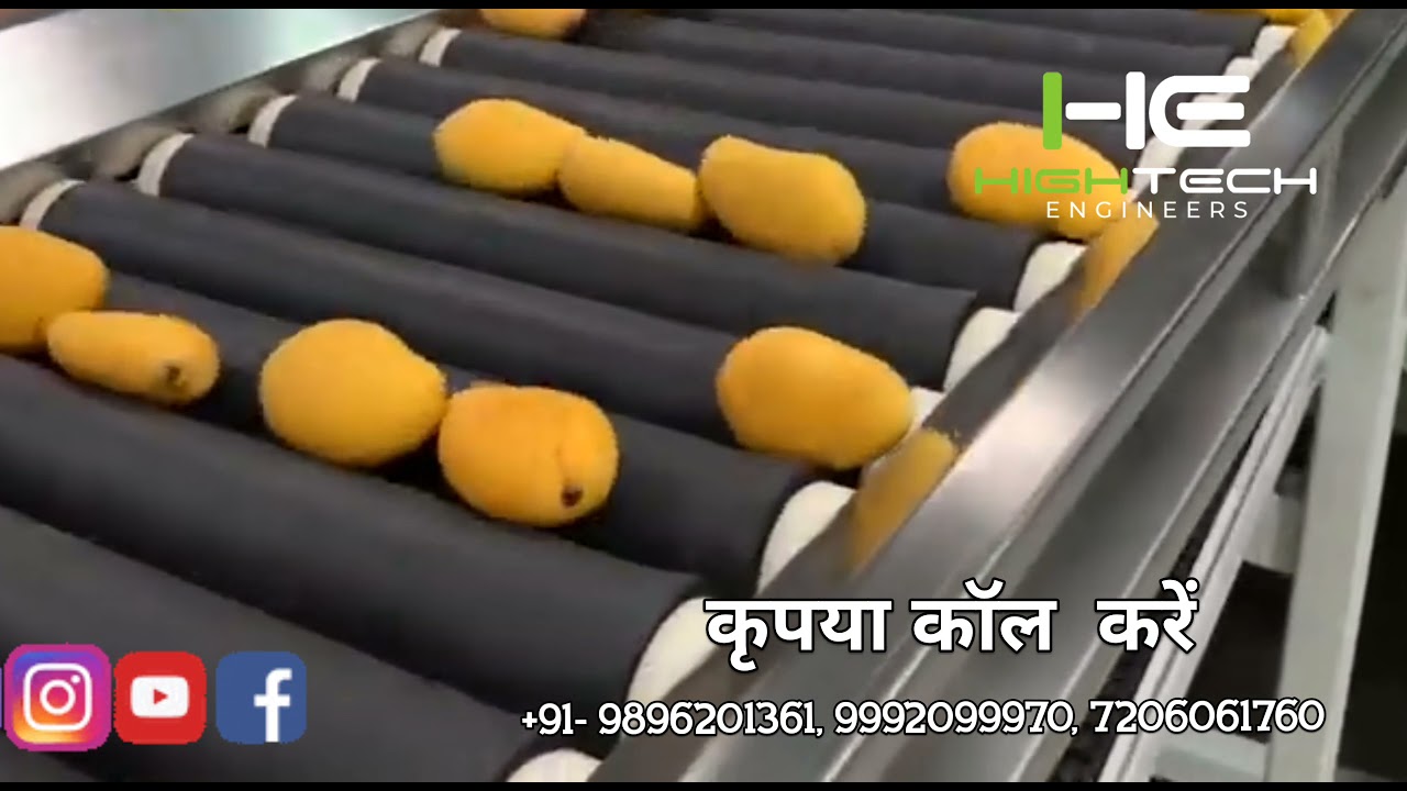 Mango Grading Machine - 99920-99970 - Hi-Tech