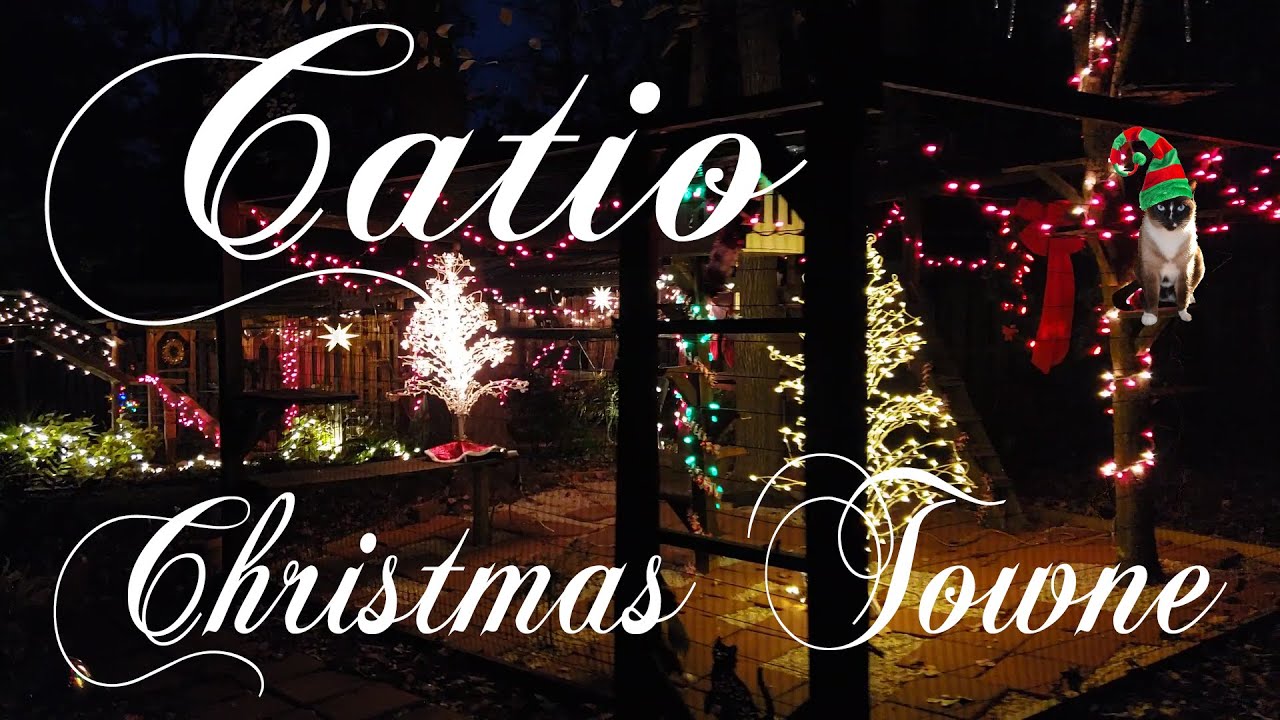 Triple CATIO Sparkle: A Dazzling Christmas Spectacle 🐾🎄