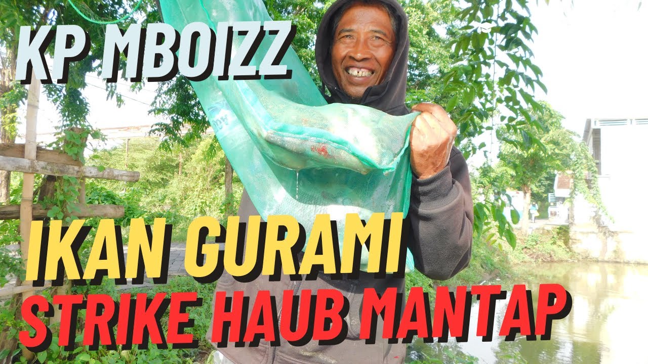 HANTAMAN IKAN SUPER JUMBO KP MBOIZZ PANDU GRESIK #mancing #matakail #mancingmania