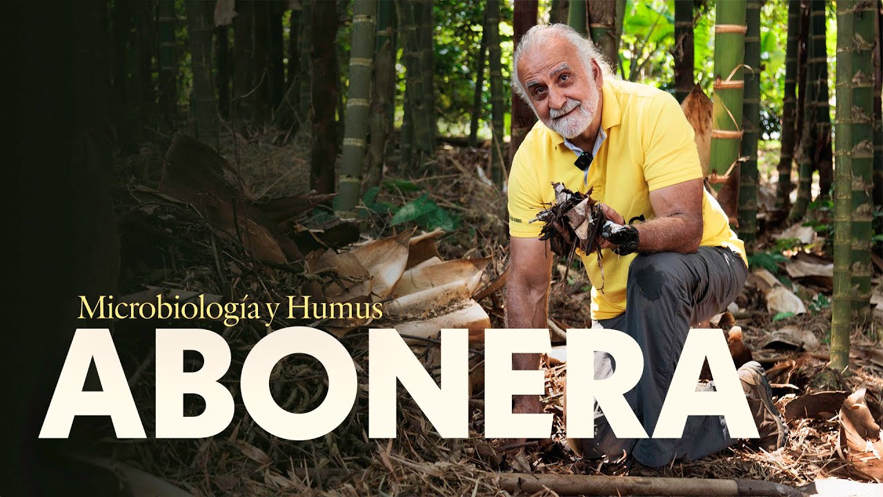 MONTAR UNA ABONERA EN CUALQUIER LUGAR 🌱 *Enfriar el planeta,  microbiologia y Humus | Jairo Restrepo