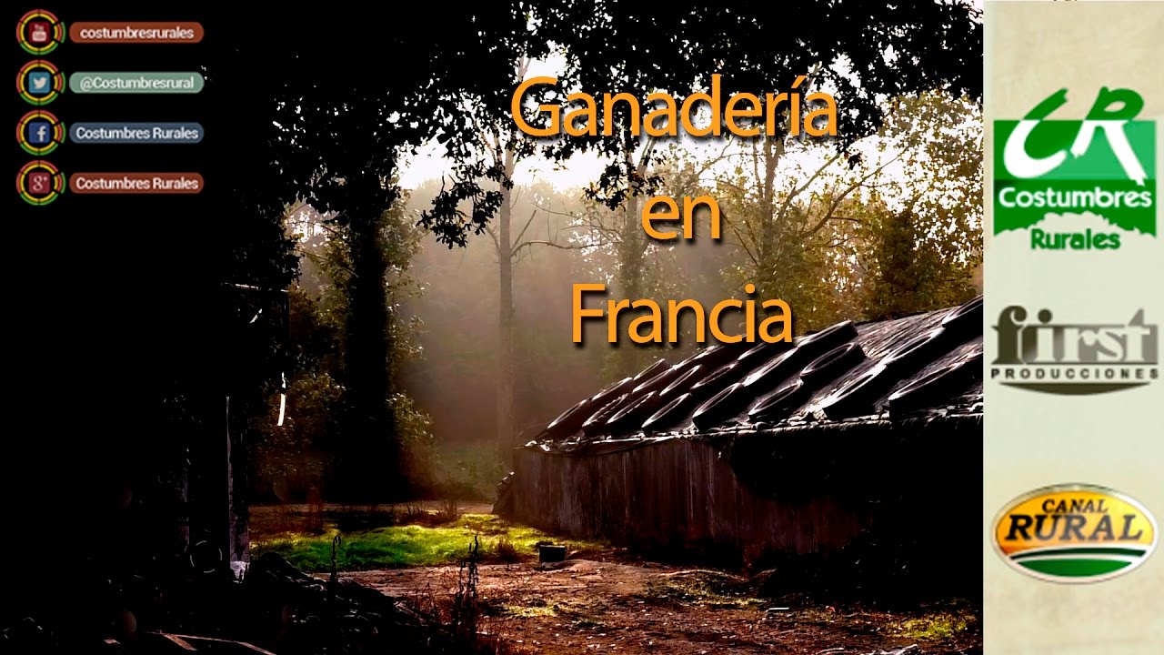 Ganadería en Francia - Costumbres Rurales Nº 607