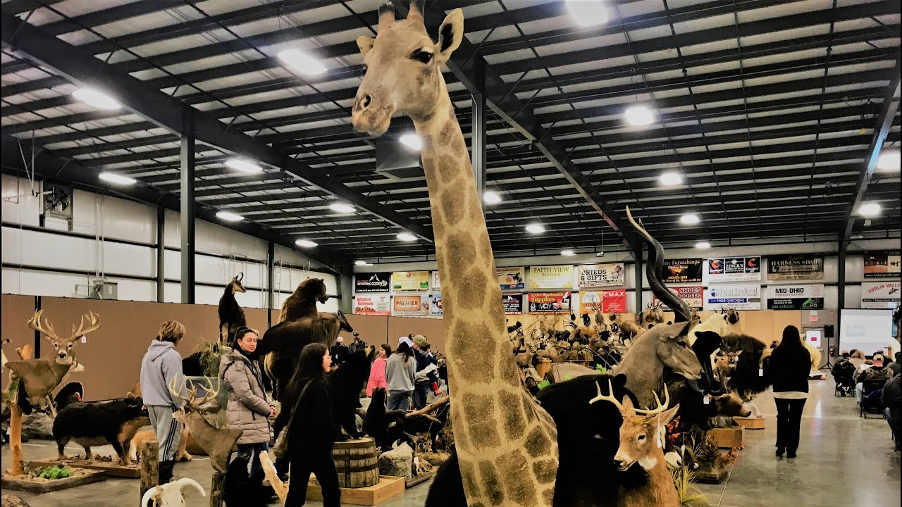MID OHIO ALTERNATIVE ANIMAL and BIRD SALE...... MT. HOPE EXOTIC ANIMAL AUCTION