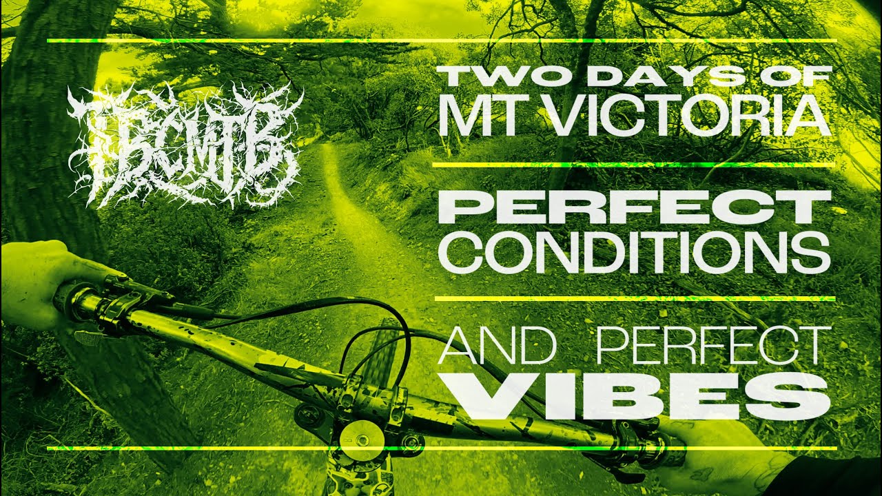 MTB // Super Fun Weekend // Mt. Victoria, WGTN, NZ