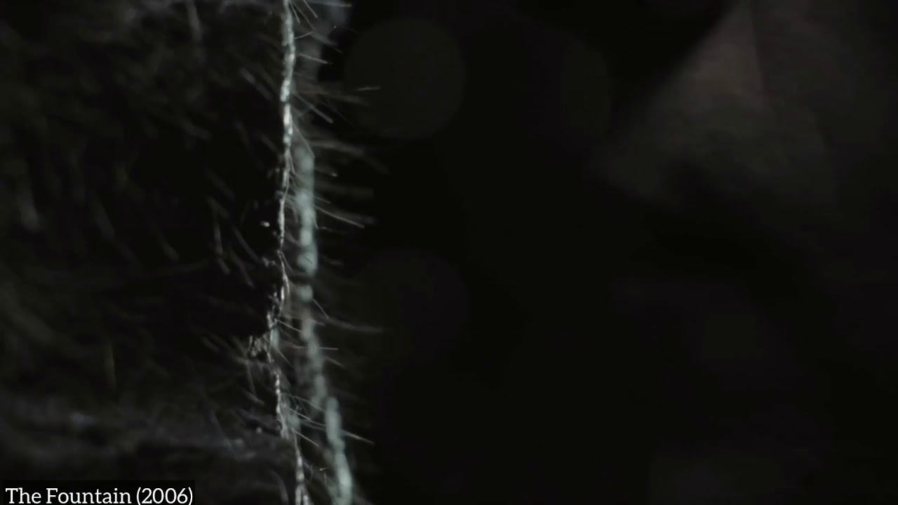 Extreme Close-up Shot