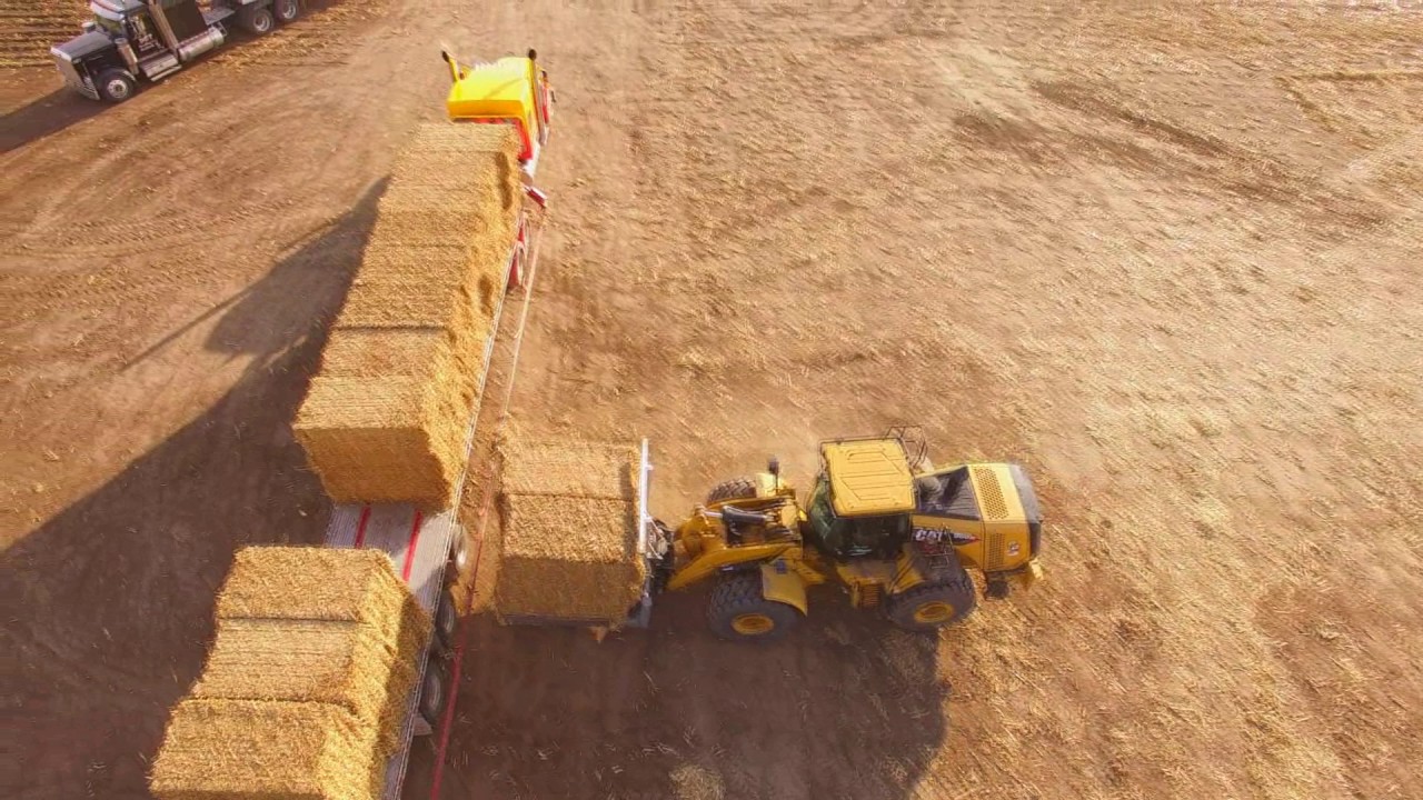 Stinger ALSS - BIomass Transportation
