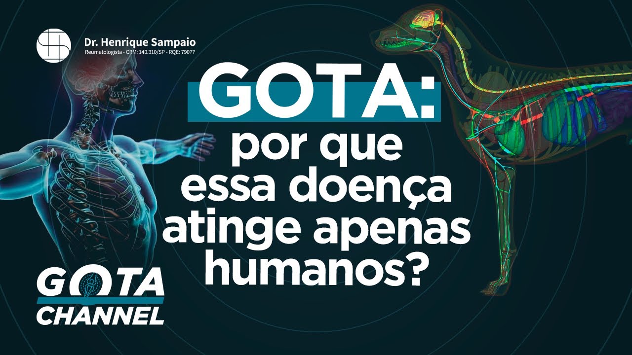 Por Que Cachorros e Gatos Não Têm Gota?