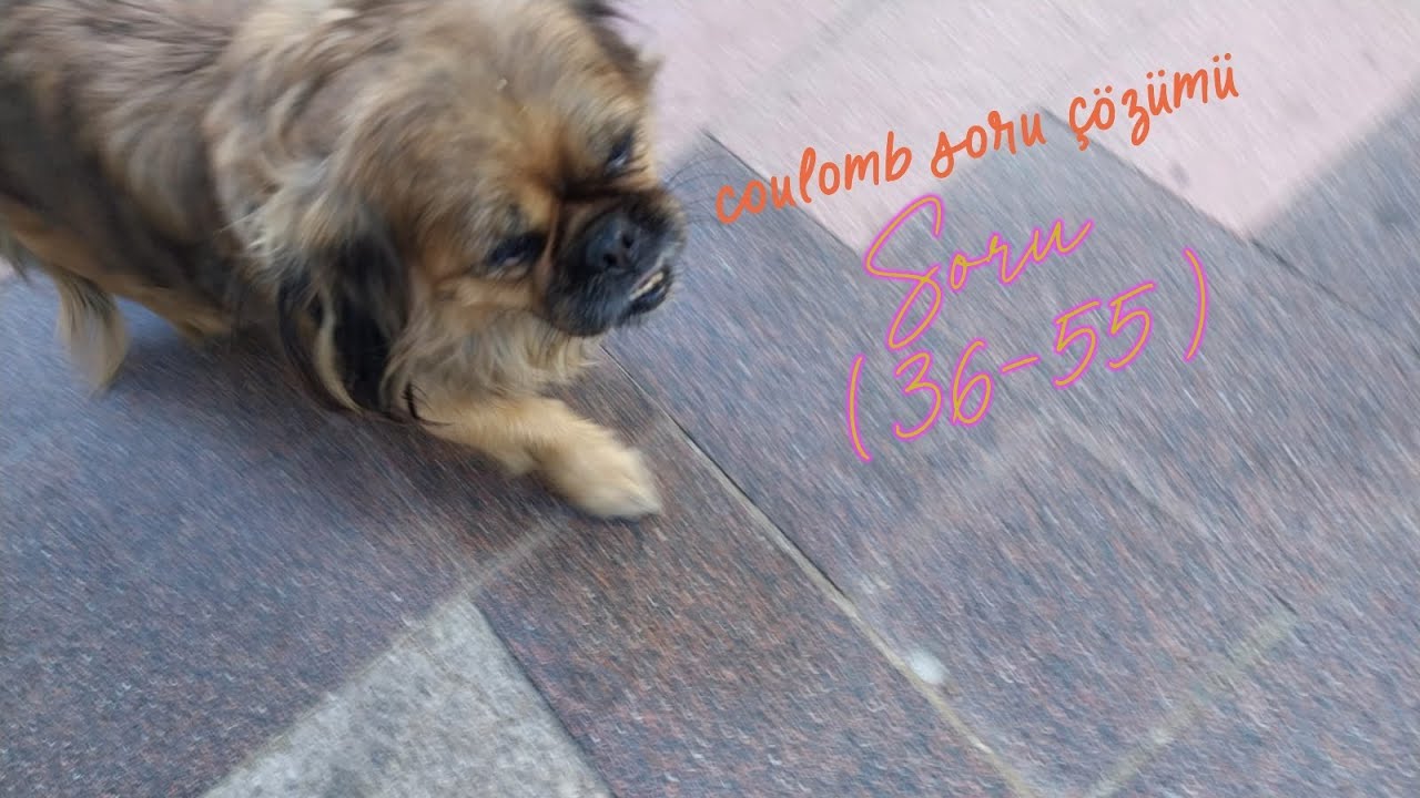 Coulomb Soru Çözümü (36-55)