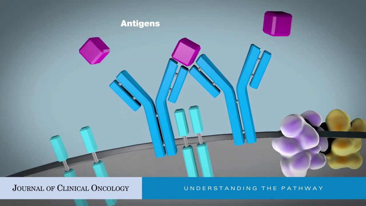 Targeting B-Cell Receptor Signaling for Anticancer Therapy