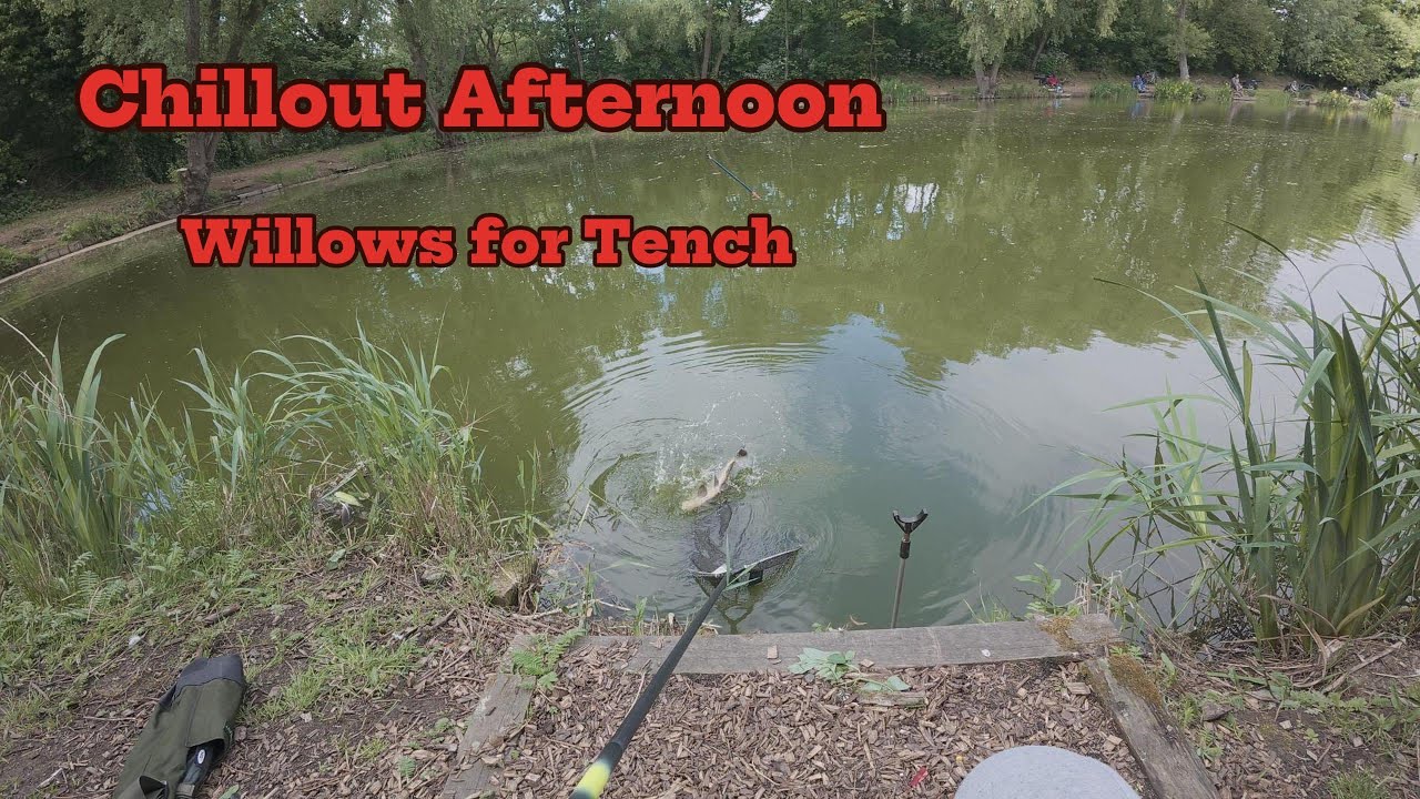 Chillout at Willows Tench fishing, May 2025