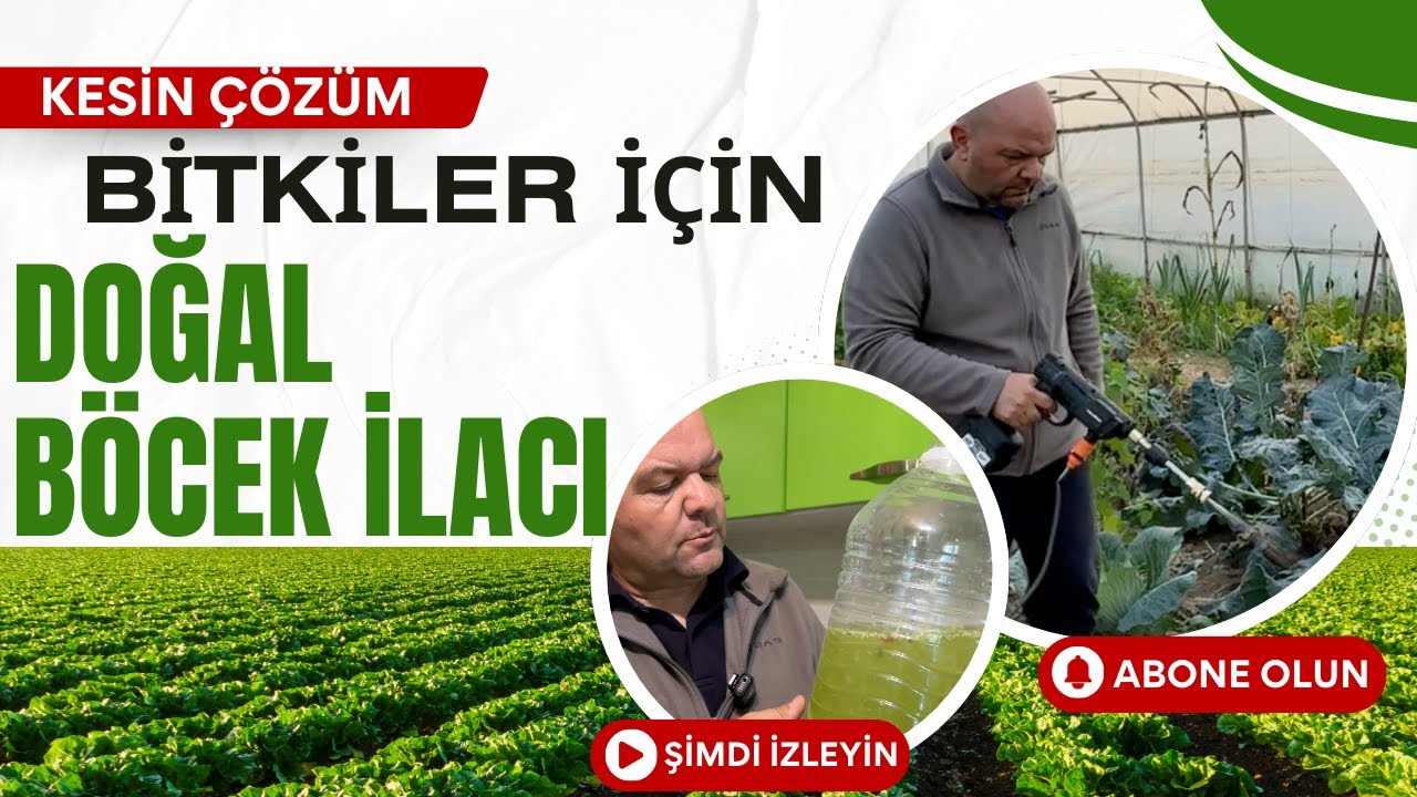 BİTKİLER İÇİN DOĞAL BÖCEK İLACI / Tüm Haşereyi Kolaylıkla Yokedin / Talha Uğurluel