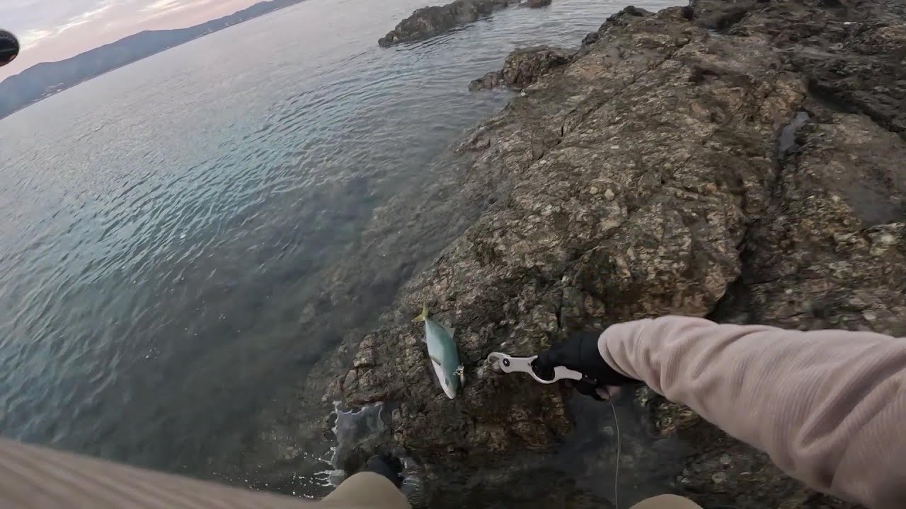 【青物狙いで連敗中&hellip;】　しまなみ海道で青物狙い　なんとか釣って連敗脱出しました