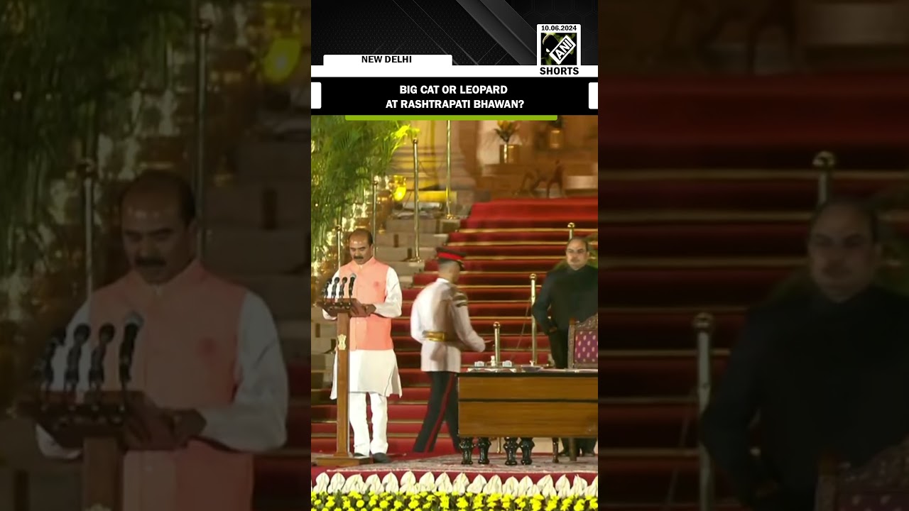 Big cat or leopard? Animal casually strolling behind oath ceremony in Rashtrapati Bhawan