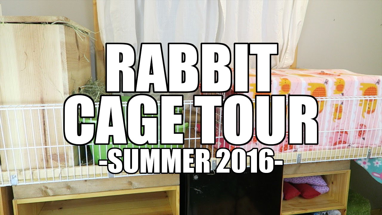 Rabbit Cage Tour Summer 2016