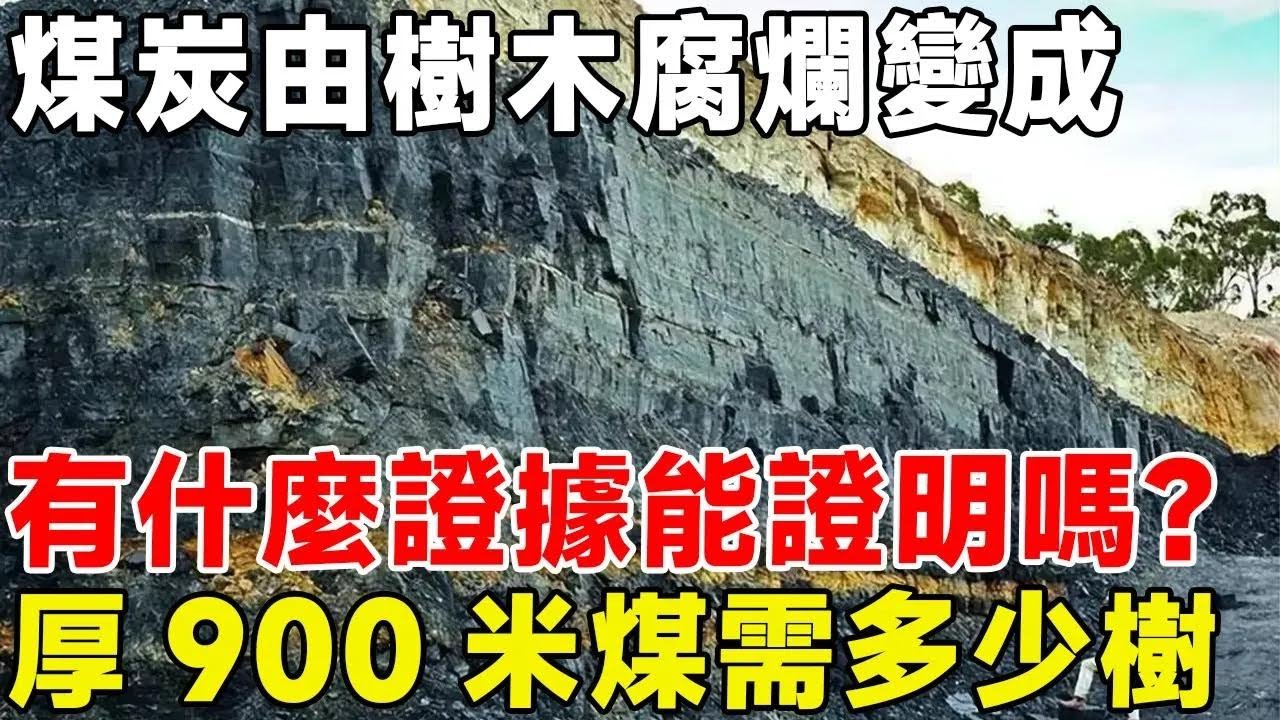 煤炭由樹木腐爛變成，有什麼證據能證明嗎？ 厚900米煤需多少樹#科普 #科普頻道