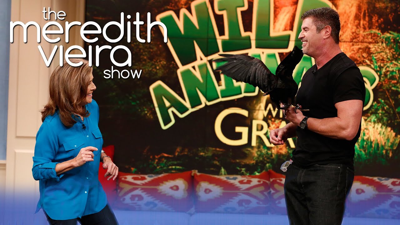 Meredith vs One of the Smartest Animals on Earth | The Meredith Vieira Show