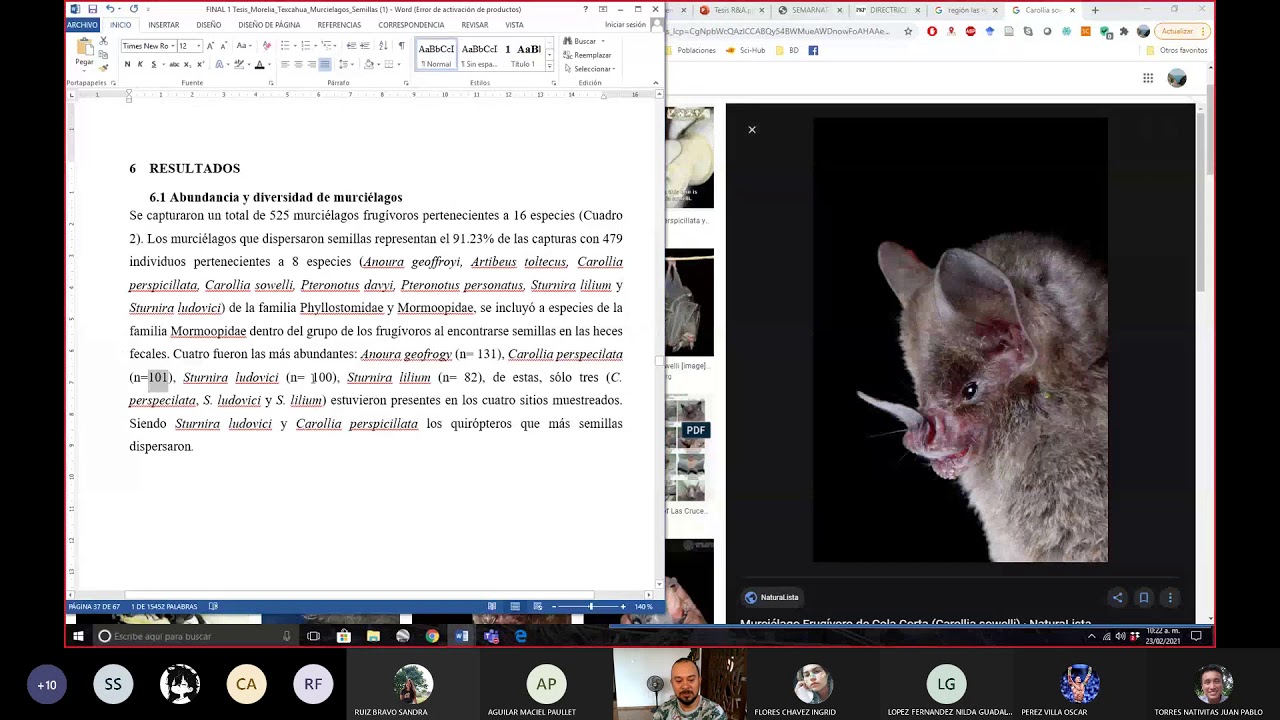 Estudios en Comunidades en Bosque Mes&oacute;filo de Monta&ntilde;a