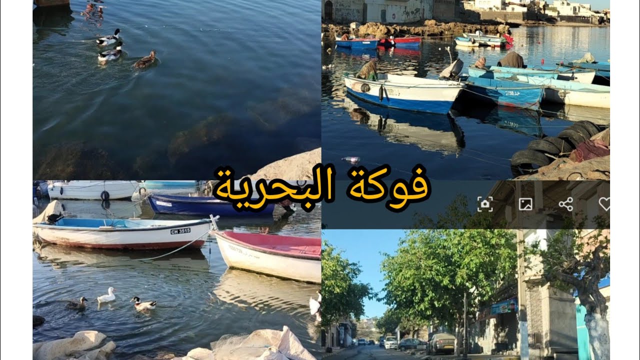 فوكة البحرية جولة خفيفة،fouka marine
