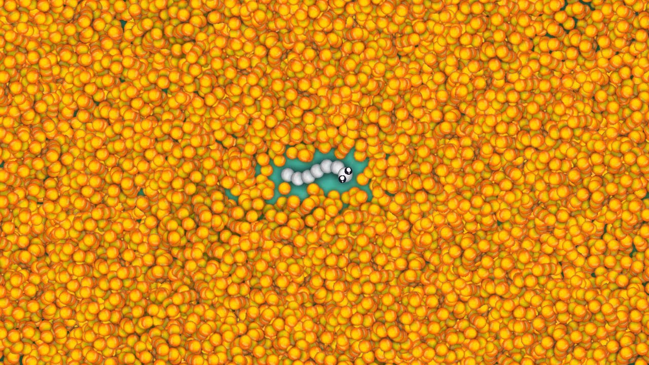 Snake.io Lovely Snake Pro Skill Epic Snake io Gameplay!