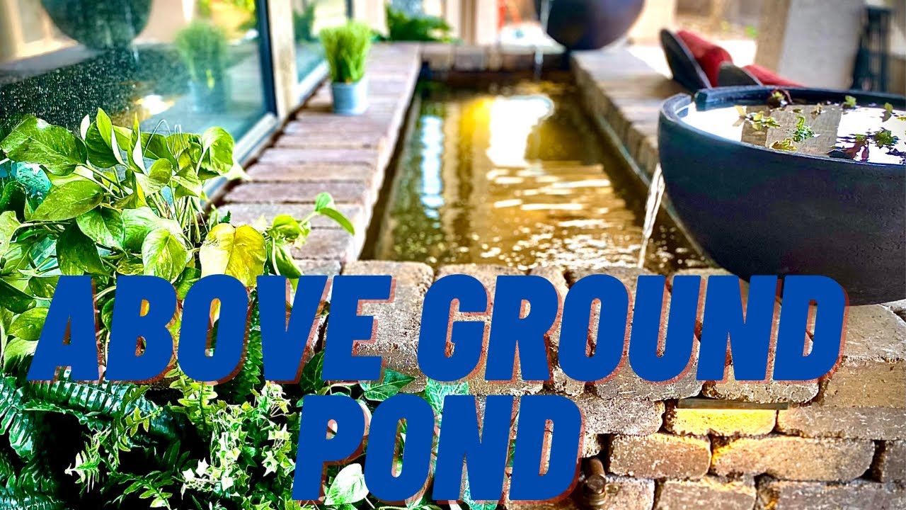 **Above** Ground FORMAL Patio Pond!