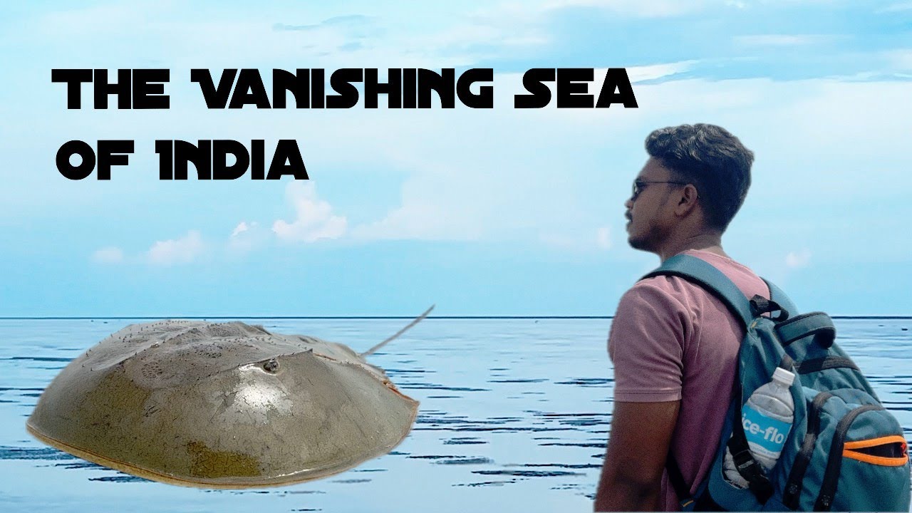 The Beach That Disappears! The Vanishing Sea of India,  Chandipur Sea Beach, Odisha |