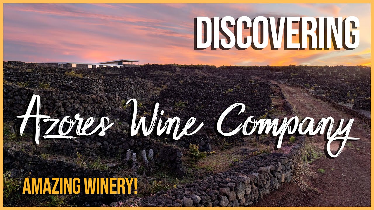 AMAZING! This Winery in the Azores does Seriously Delicious Wine!