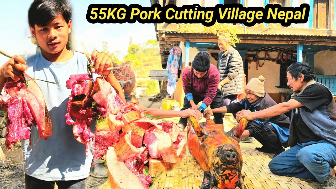 55KG Pork Cutting Village Nepal आज बिहानै 21 धार्नी को सुँगुर काट्दै गाउ मा गाउले तरिका #porkcutting