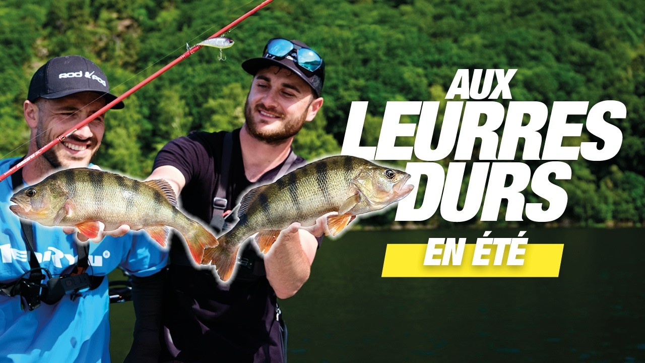 SANDRES & PERCHES en lac : stratégies d'été ! 🌞
