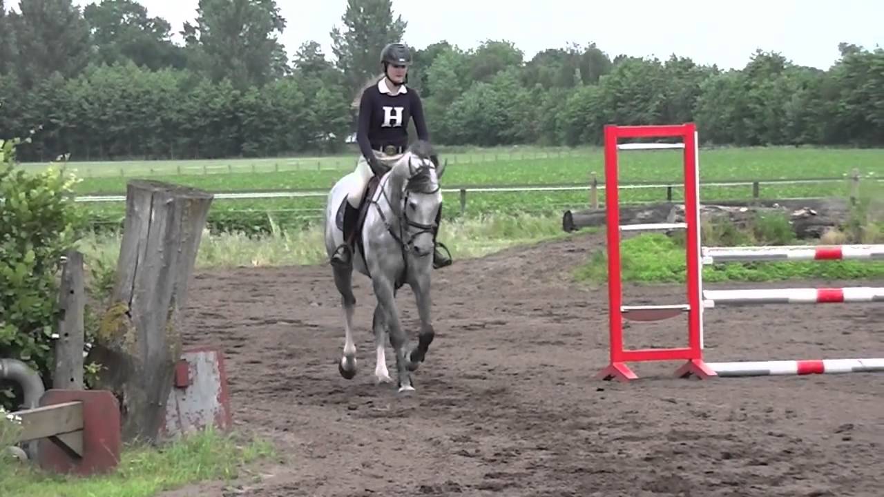 Trying horses in Holland-Day 1