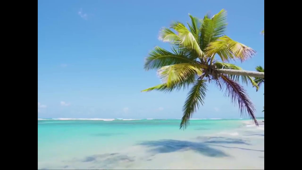 أَرَجُ دَارِيْــن فـي تَعَـامُـلِ الأَمِـيْــن مَع المُخْطِئيــن (29)