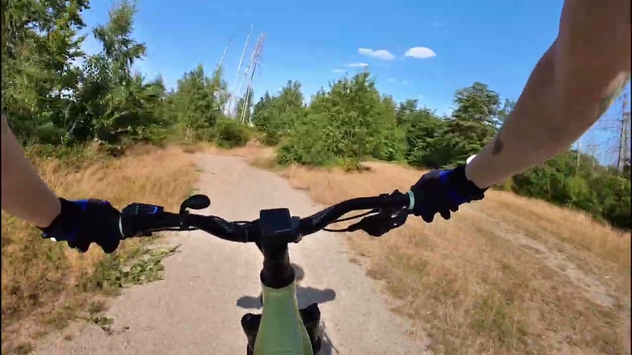 Wald Trail Harz mit Cube Reaction Hybrid exc 750
